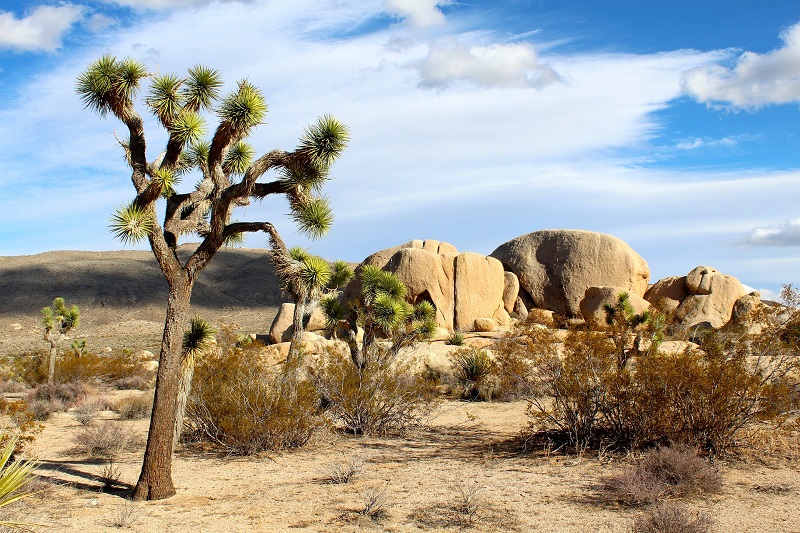 CIRCUITO MAR-DESIERTO CON LAX