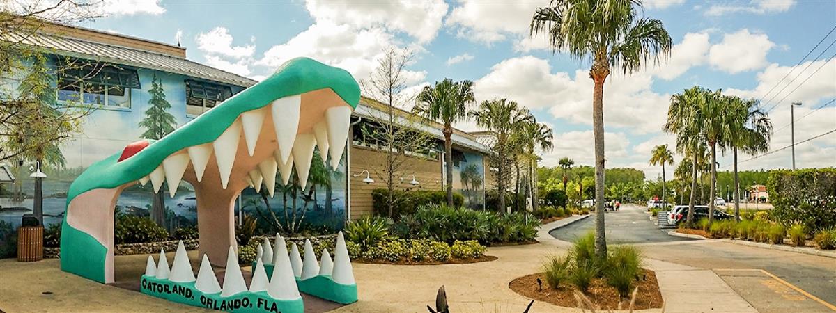 Safari en Bote Aéreo + Avistamiento de Cocodrilos 
