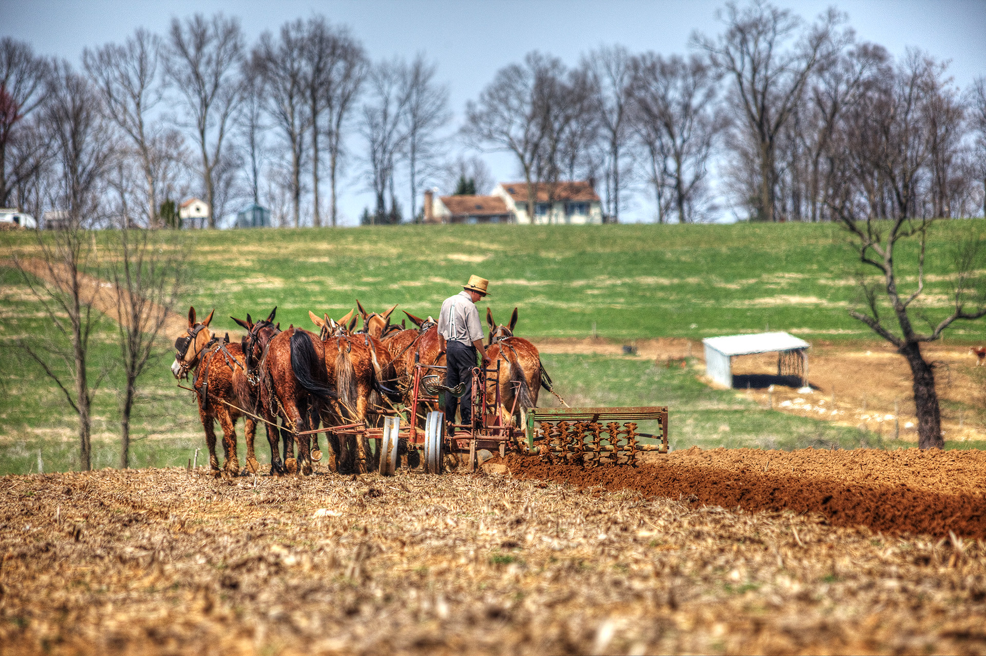Mini Express #4<br> New York / Niagara Falls / Boston / New York 