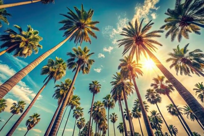 Paquete Los Angeles 4 días