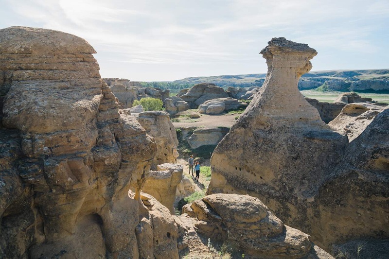 Tour Drumheller & Badlands