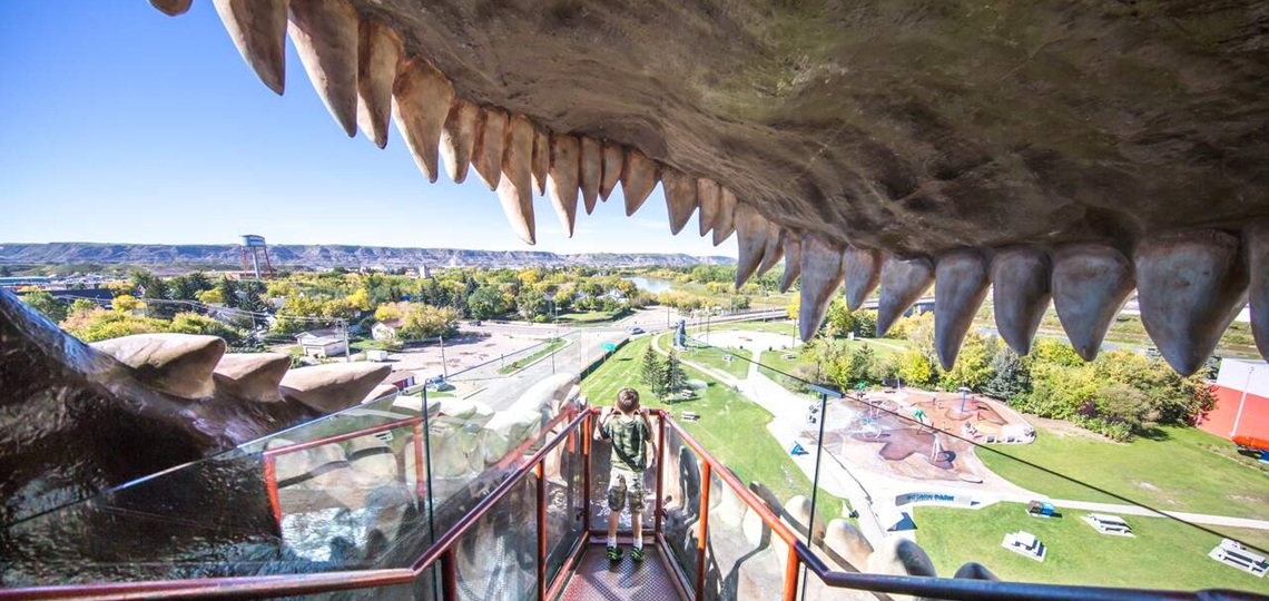 Tour Drumheller & Badlands