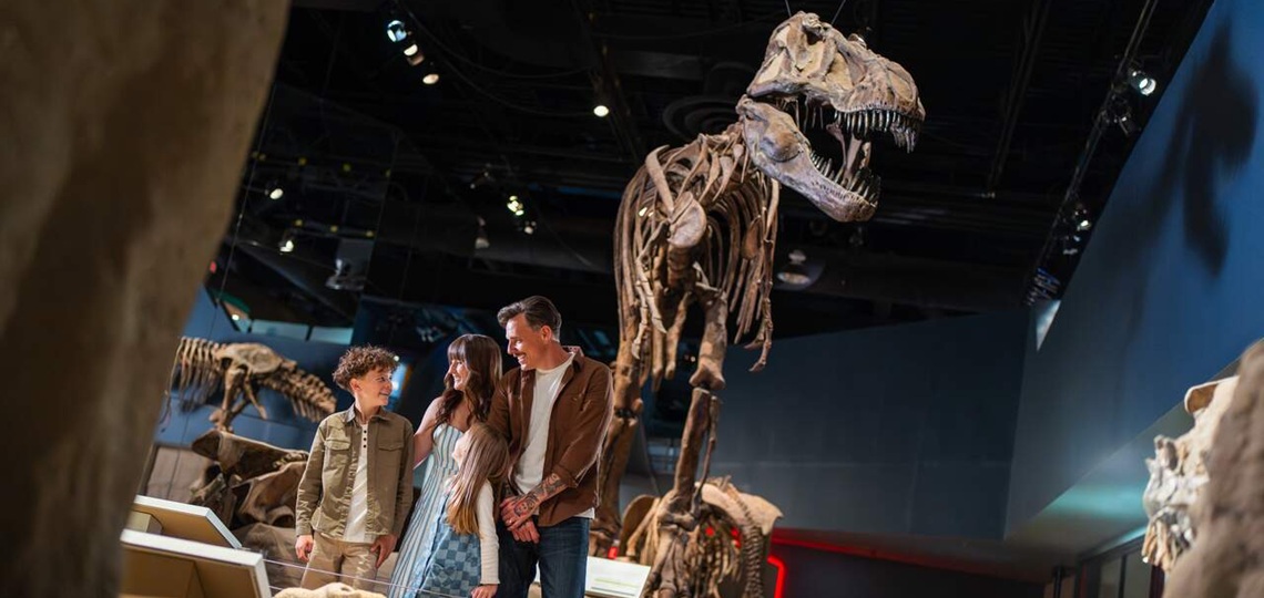 Tour Drumheller & Badlands