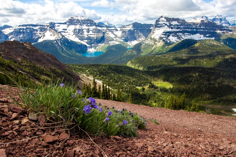 Tour Waterton National Park